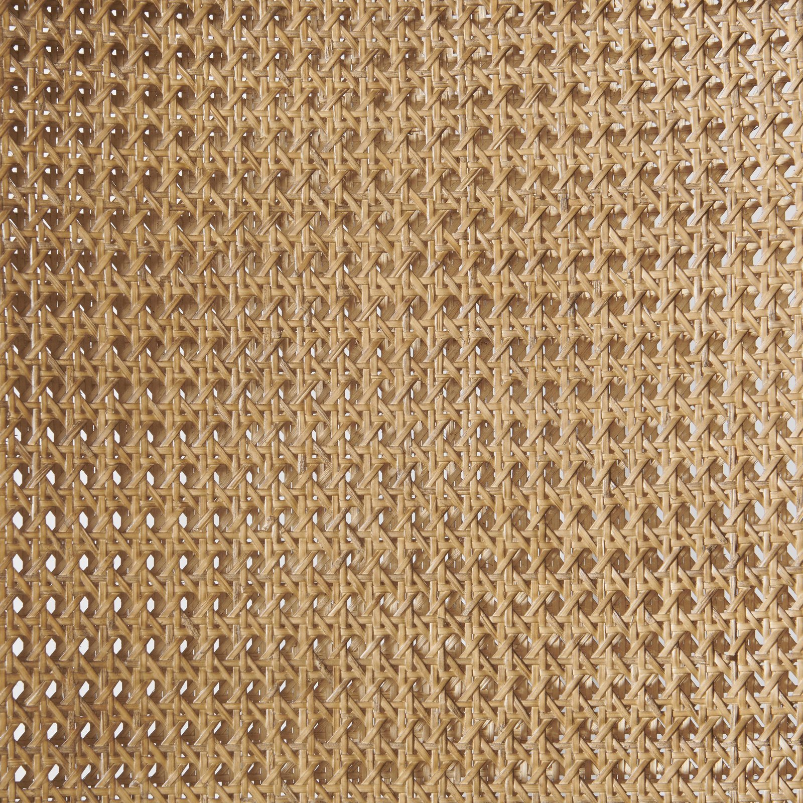 Bozeman Cane Back Side Chair in Toasted Almond - Image 6
